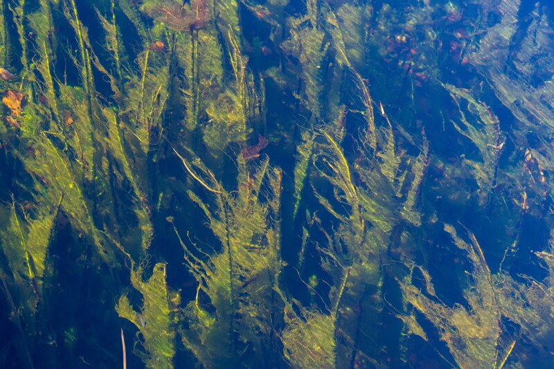 Allika järv  2025-10-19 1-1