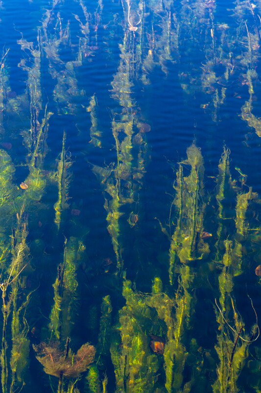 Allika järv  2025-10-19 1-2