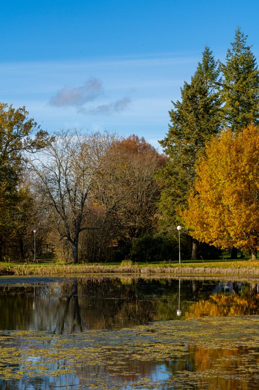 Allika järv  2025-10-19 1-9