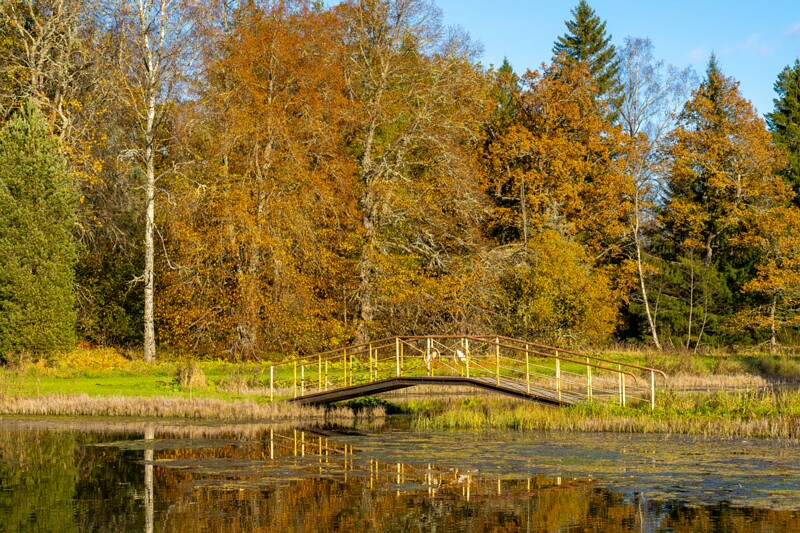 Allikajärve jalakäijate sild  2025-10-19 1-1