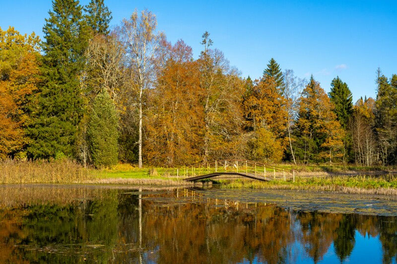 Allikajärve jalakäijate sild  2025-10-19 1-2