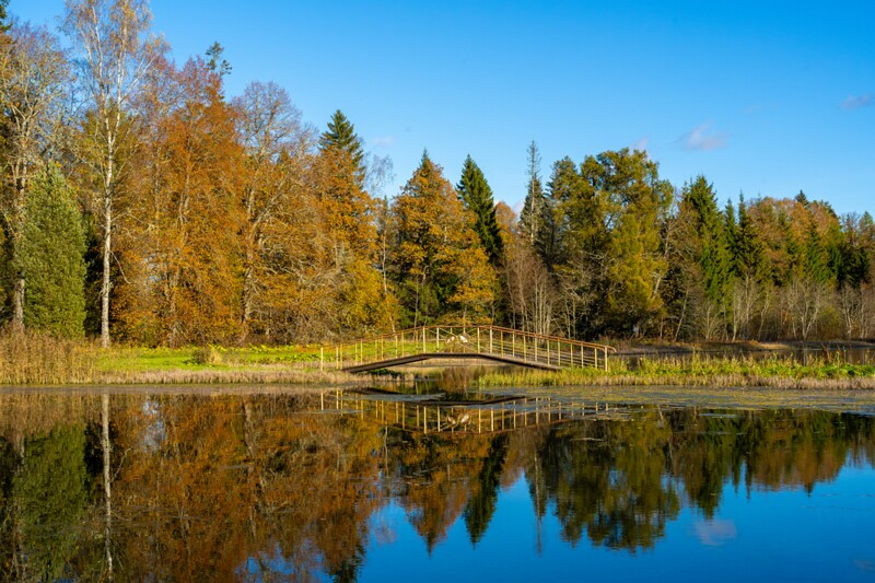 Allikajärve jalakäijate sild  2025-10-19 1-3
