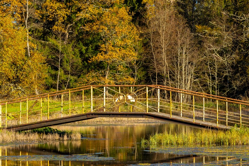 Allikajärve jalakäijate sild  2025-10-19 1-4