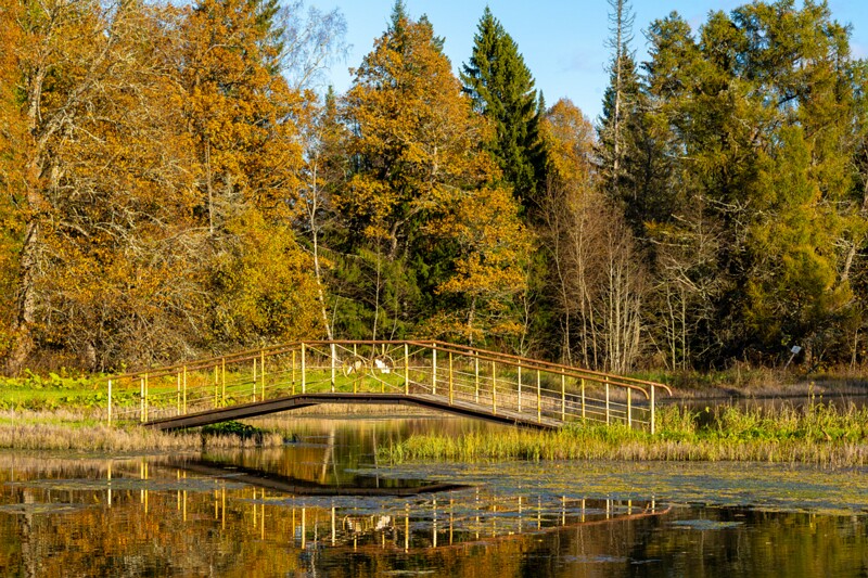Allikajärve jalakäijate sild  2025-10-19 1-5