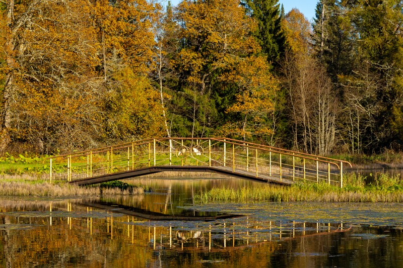 Allikajärve jalakäijate sild  2025-10-19 1-6