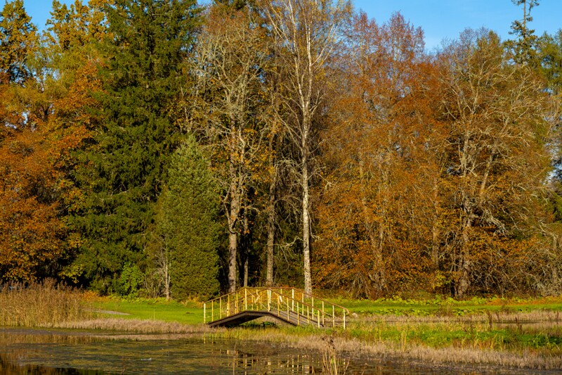 Allikajärve jalakäijate sild  2025-10-19 1-8