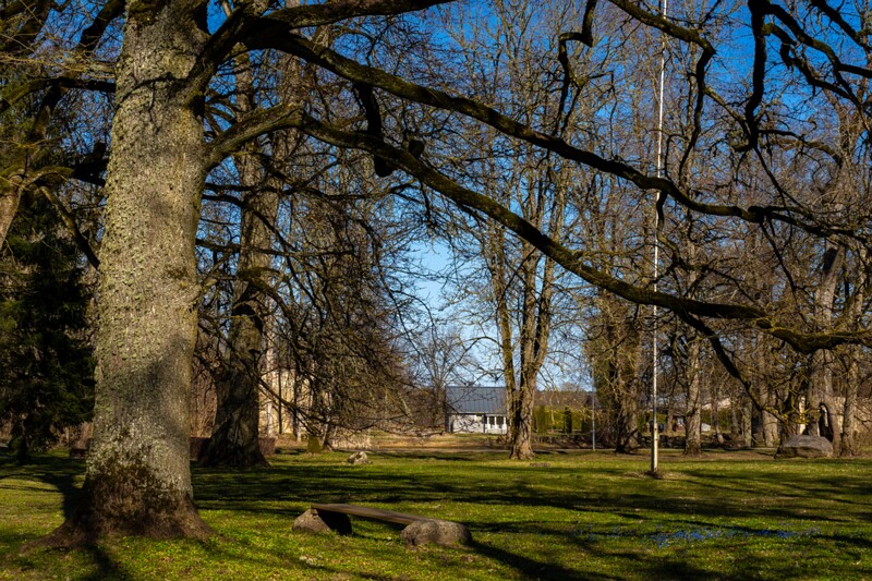 anija-myyis 2025-04-13 1-9