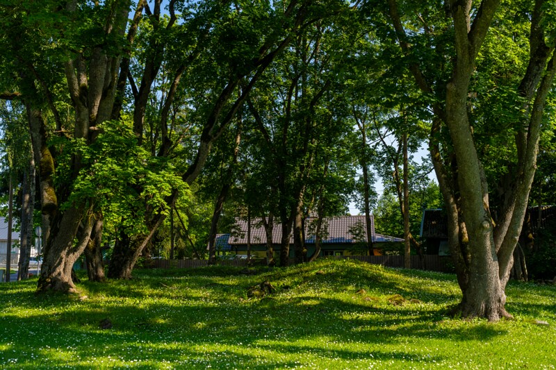 hyuyuru-myyis 2025-07-19 1-12