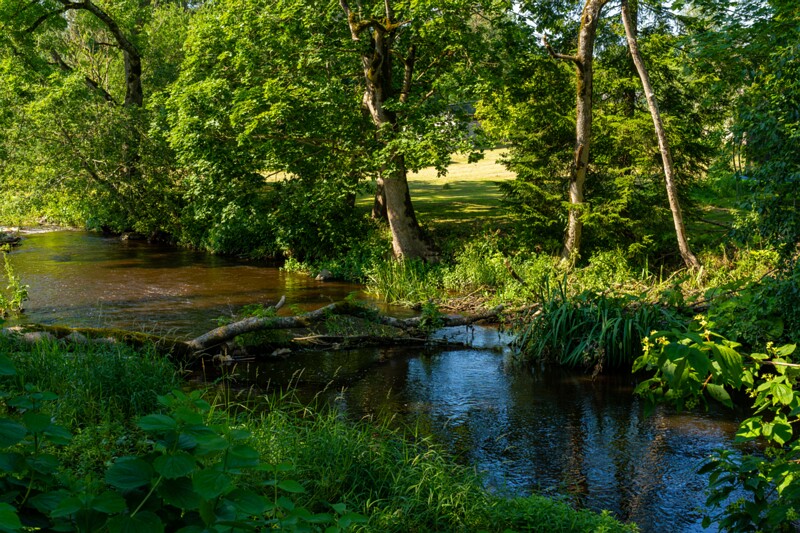 hyuyuru-myyis 2025-07-19 1-26