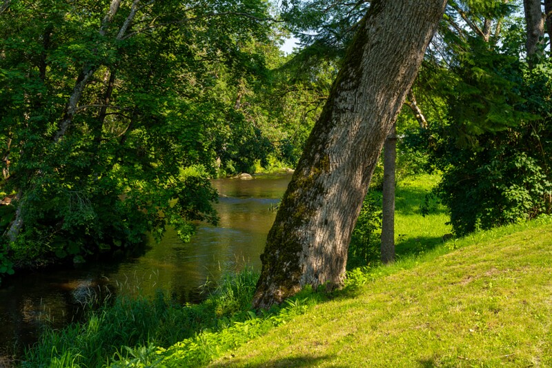 hyuyuru-myyis 2025-07-19 1-28