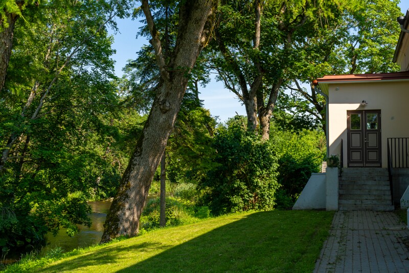 hyuyuru-myyis 2025-07-19 1-29