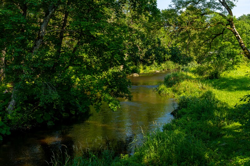 hyuyuru-myyis 2025-07-19 1-31