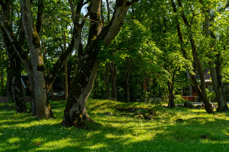 hyuyuru-myyis 2025-07-19 1-7