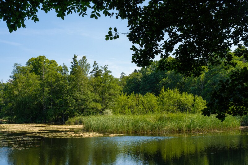 harku-myyisajyarv 2025-07-19 1-1