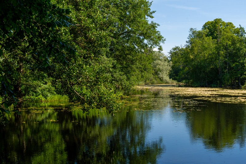 harku-myyisajyarv 2025-07-19 1-3