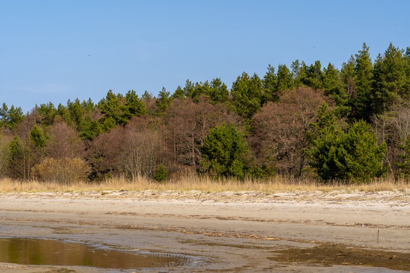 ihasalu-rand 2025-04-18 1-11