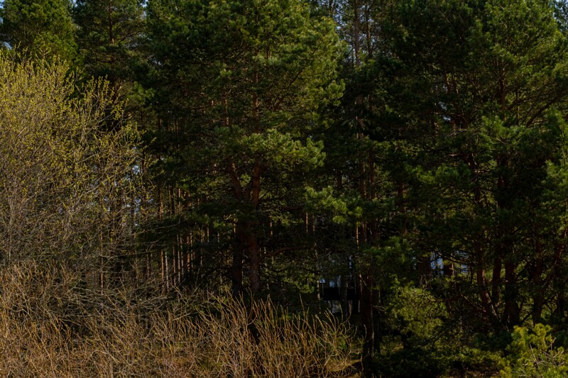 ihasalu-rand 2025-04-18 1-14