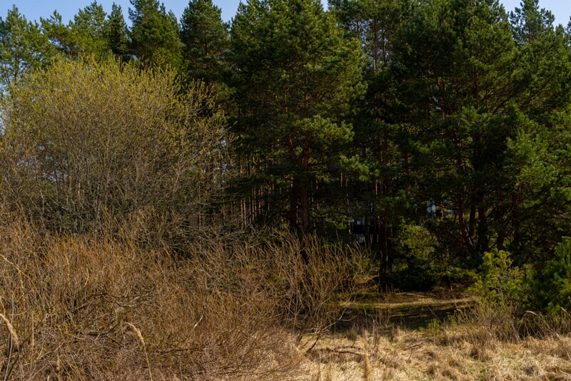 ihasalu-rand 2025-04-18 1-15