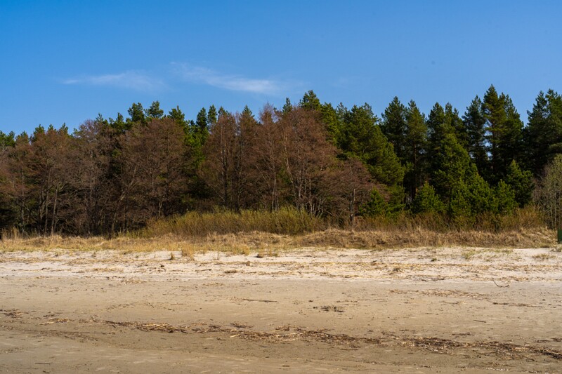 ihasalu-rand 2025-04-18 1-4