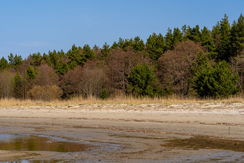 ihasalu-rand 2025-04-18 1-6