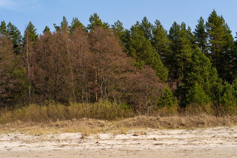 ihasalu-rand 2025-04-18 1-7