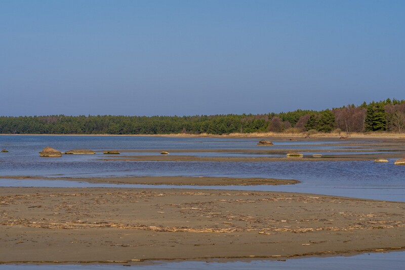 ihasalu-rand 2025-04-18 1-8