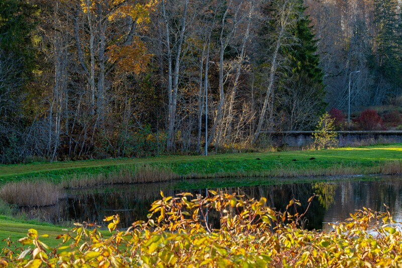 Jäneda park  2025-10-19 3-1