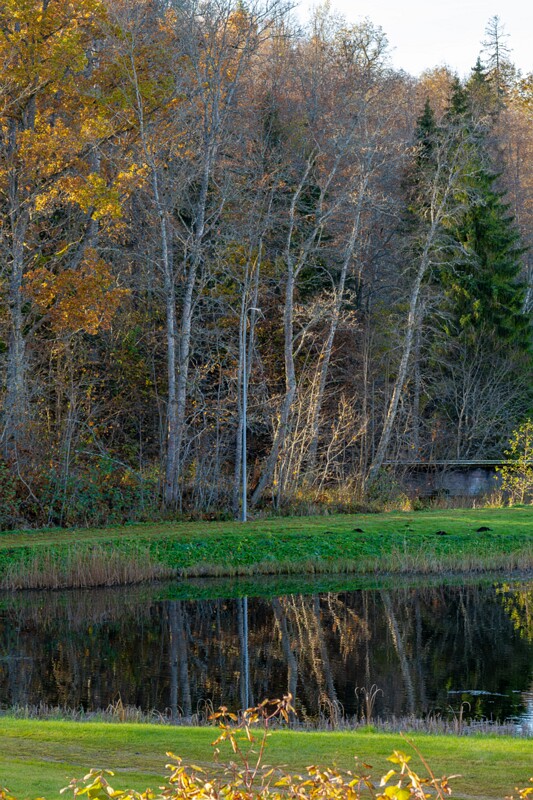 Jäneda park  2025-10-19 3-2