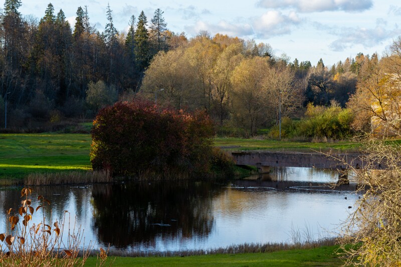 Jäneda park  2025-10-19 3-4