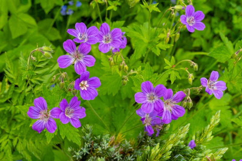 jõelähtme-kirik 1-47