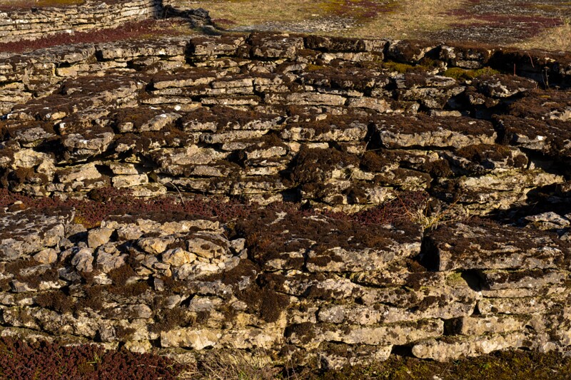 jyyelyahtme-kivikirstkalmistu 2025-04-13 1-2