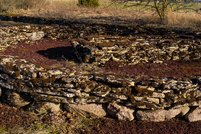 jyyelyahtme-kivikirstkalmistu 2025-04-13 1-24