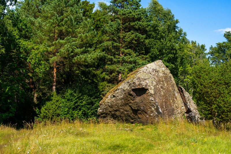 Jaani-Tooma Suurkivi  2026-07-18 1-1