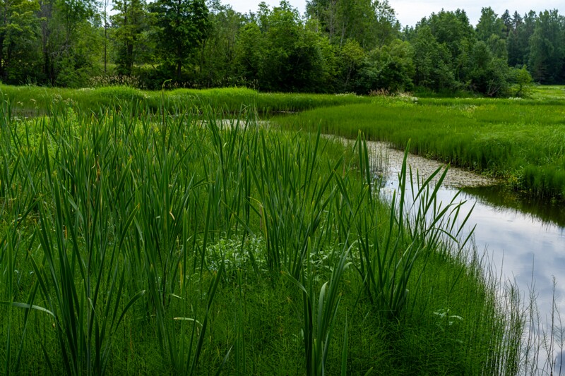 Joaveski joastik  2026-06-28 2-11