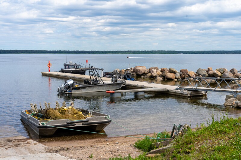 Käsmu Sadam  2026-06-20 1-1