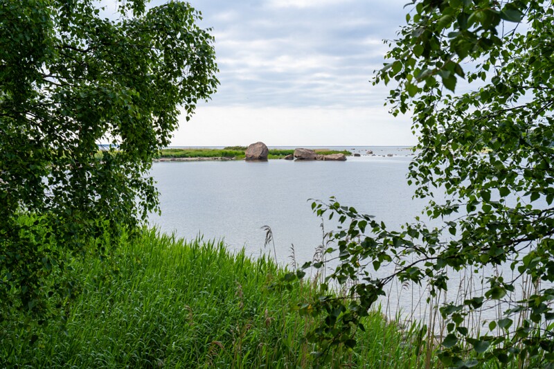 Käsmu Saartneem  2026-06-20 1-4