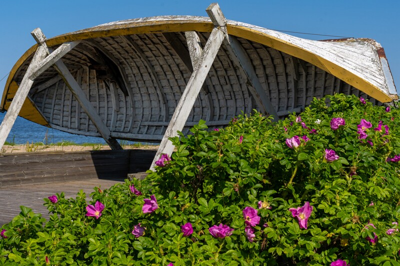 kaberneeme-marina 2025-06-22 1-10