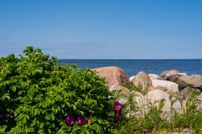 kaberneeme-marina 2025-06-22 1-11