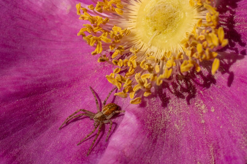 kaberneeme-marina 2025-06-22 1-14