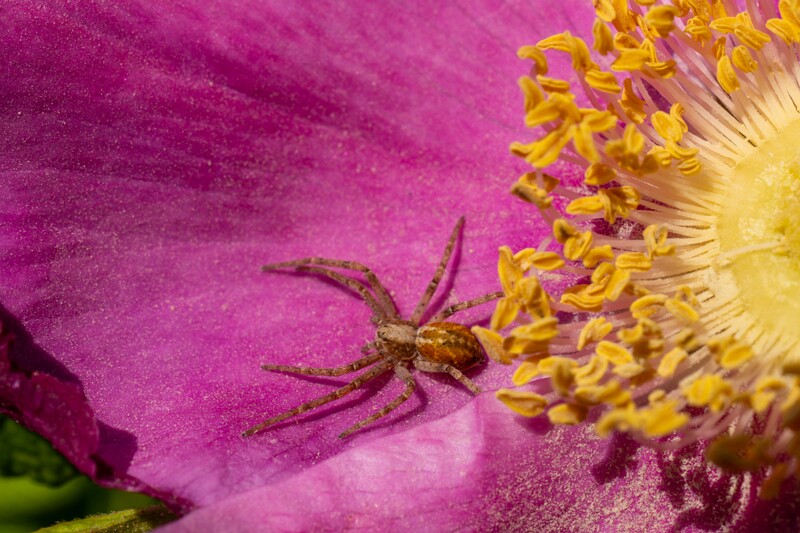 kaberneeme-marina 2025-06-22 1-15