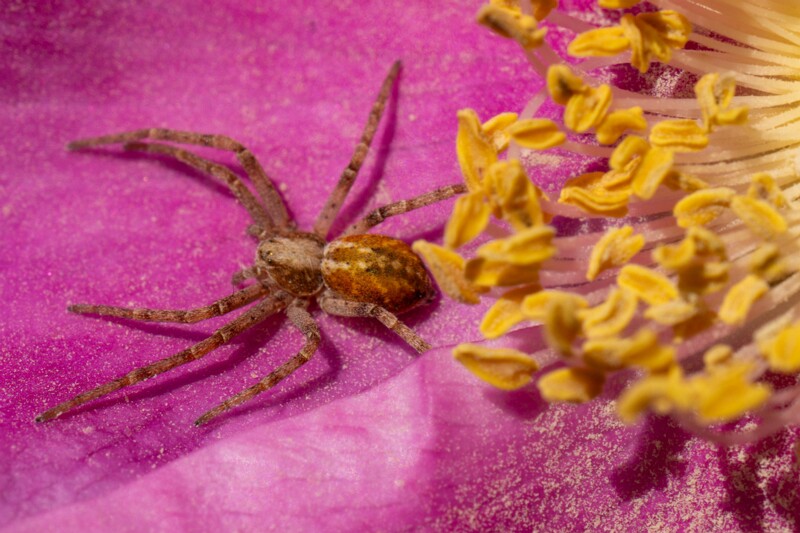 kaberneeme-marina 2025-06-22 1-16