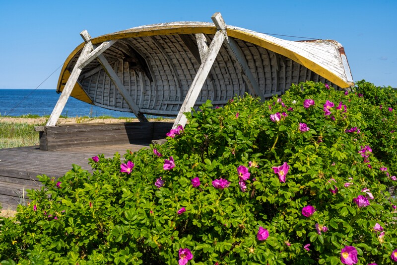 kaberneeme-marina 2025-06-22 1-9