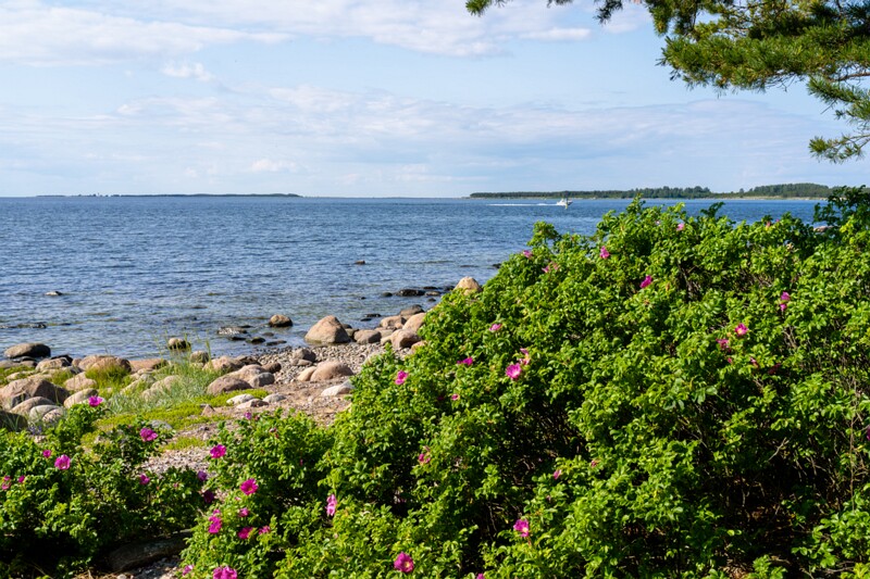 kaberneeme-poolsaare-tipp 2025-06-22 1-1