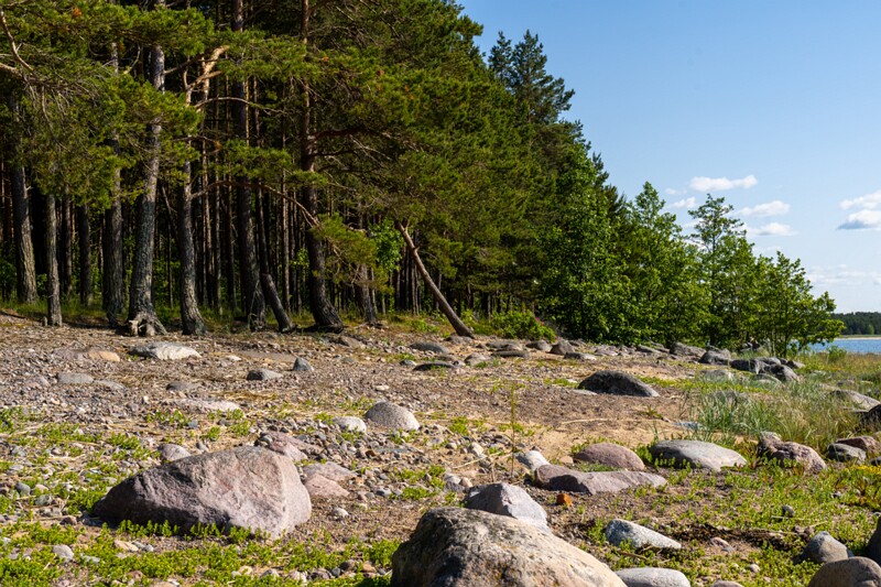 kaberneeme-poolsaare-tipp 2025-06-22 1-12