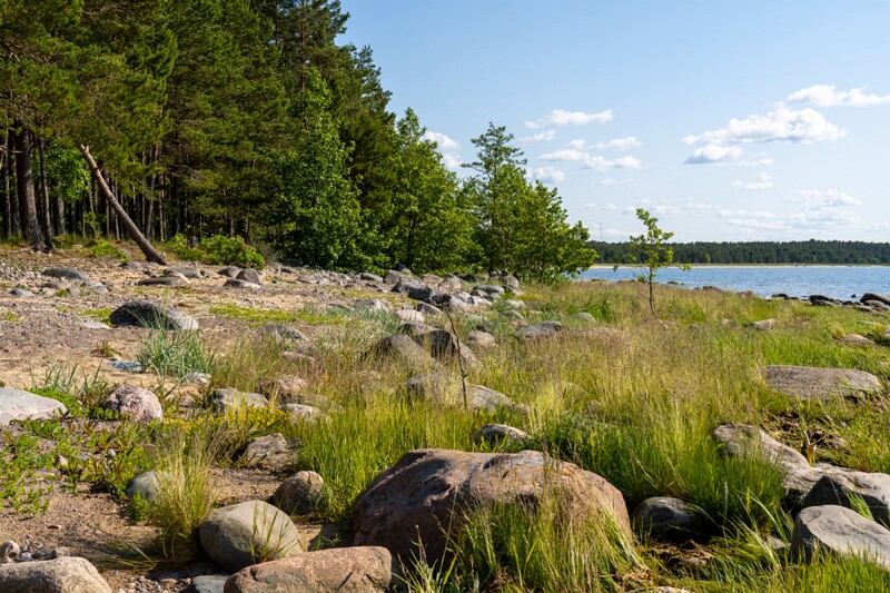 kaberneeme-poolsaare-tipp 2025-06-22 1-13