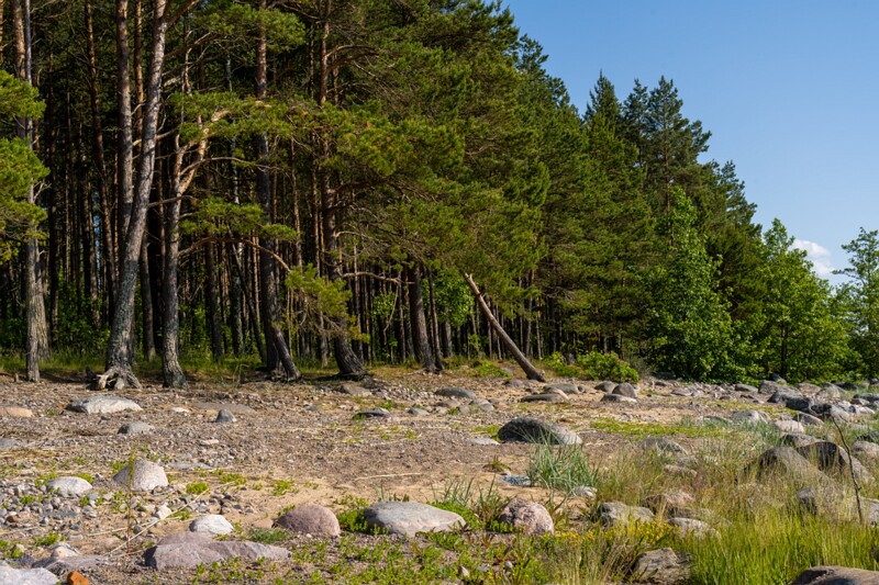 kaberneeme-poolsaare-tipp 2025-06-22 1-14