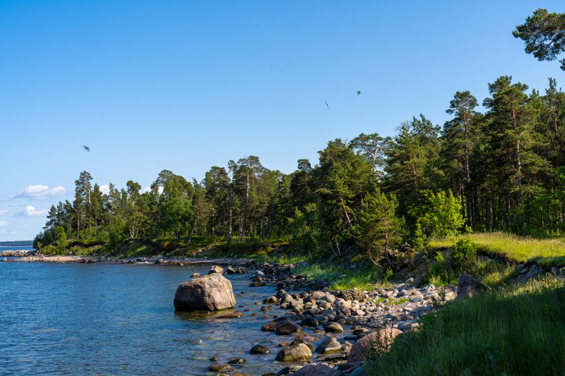 kaberneeme-poolsaare-tipp 2025-06-22 1-17