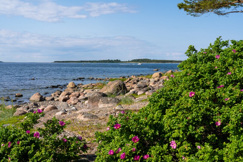 kaberneeme-poolsaare-tipp 2025-06-22 1-2