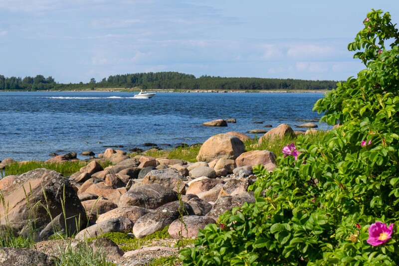 kaberneeme-poolsaare-tipp 2025-06-22 1-3