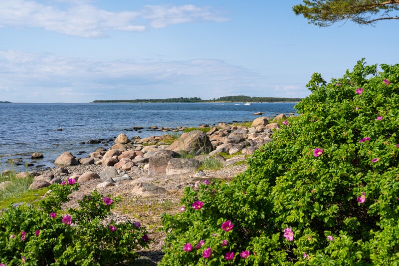 kaberneeme-poolsaare-tipp 2025-06-22 1-4